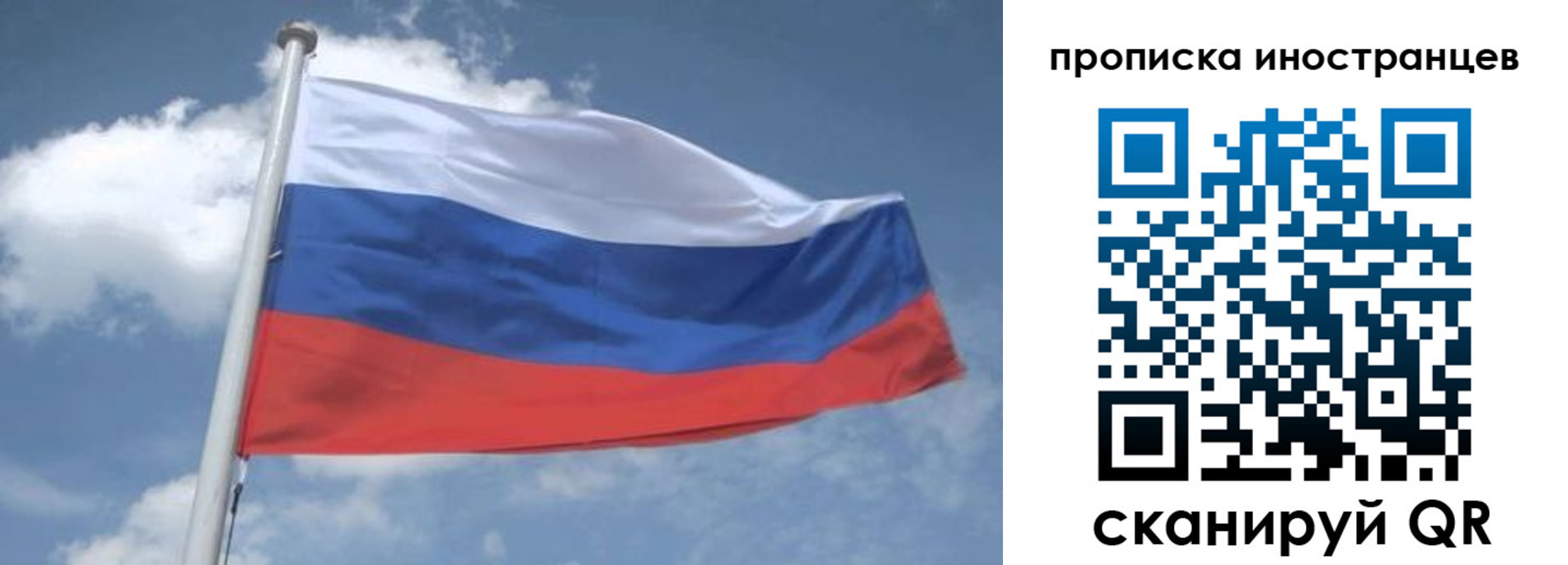 найти адрес прописки в Снежногорске
